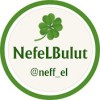 Neff_El Bulut