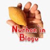 Nurhanın Blogu